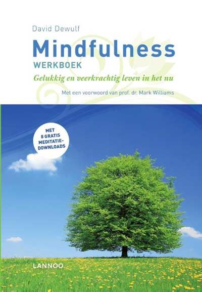 David Dewulff Mindfulness werkboek